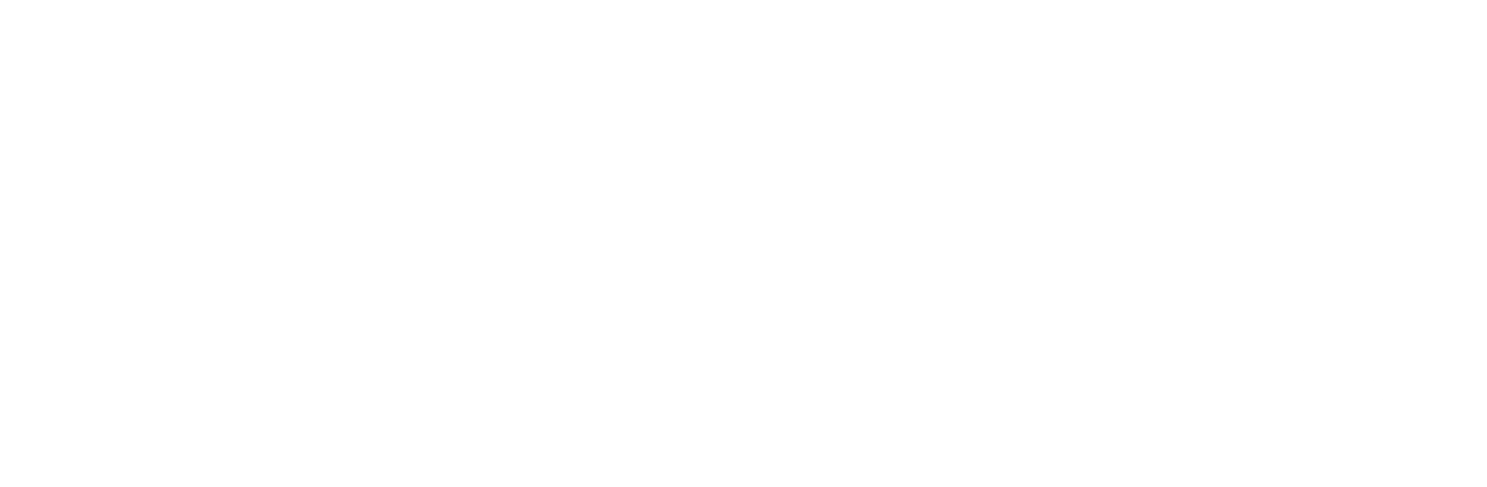 DevinoPolitist